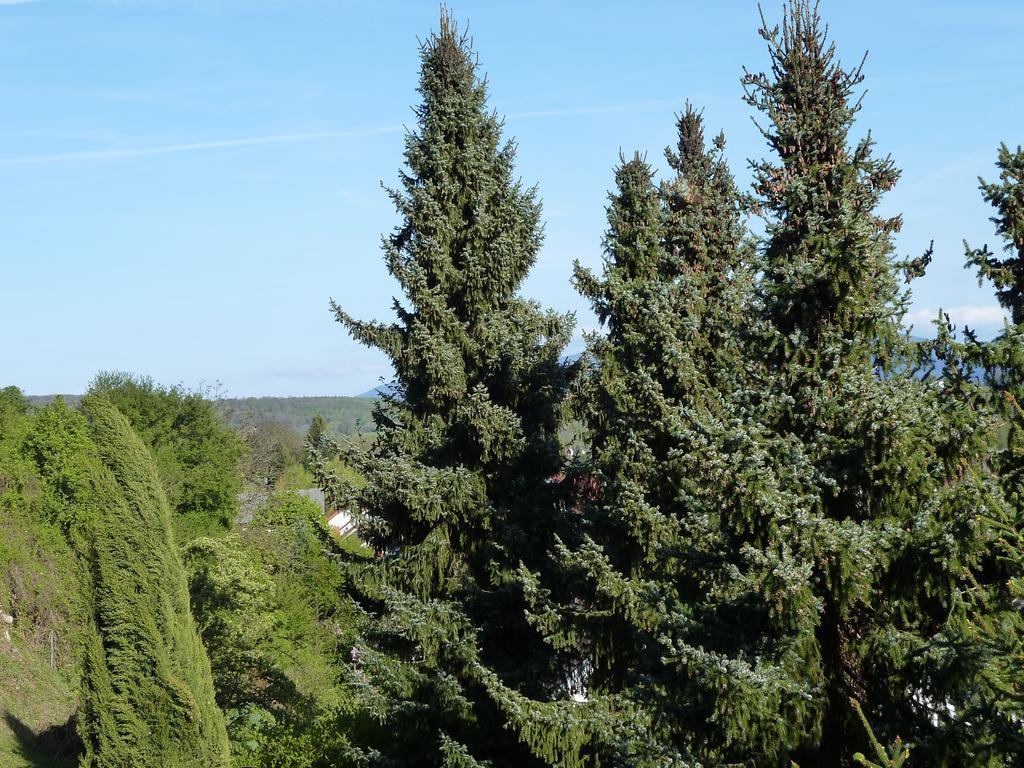 Helle 70 Qm Ferienwohnung Mit Herrlichem Blick Teningen Dış mekan fotoğraf